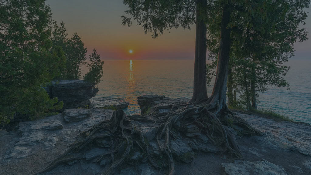 Touching Our Spiritual Roots